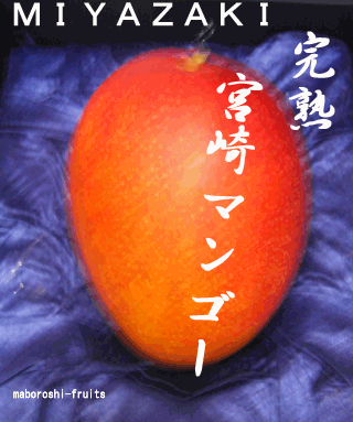 宮崎マンゴー┃maboroshi-fruits
