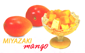 宮崎産マンゴーを通販で購入する（ＪＡみやざきブランド）