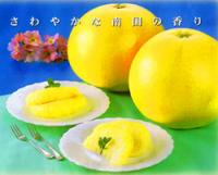 熊本八代特産　晩白柚　2玉　Lサイズ　等級:赤秀