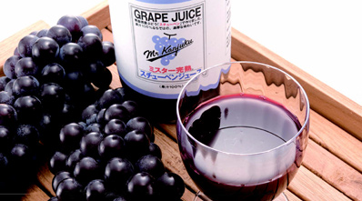 �X�`���[�x���@�Ԃǂ��@�W���[�X