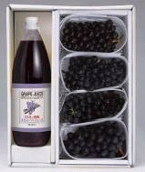 �X�Y�Ԃǂ��ƃW���[�X�l����