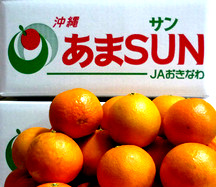 あまSUN　柑橘類　沖縄県産