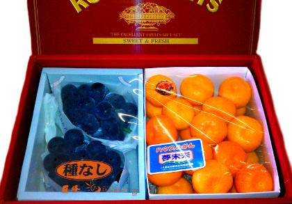 ����ƃn�E�X�݂��񄫌�j���E���j���Ȃ̂Ʉ��t���[�c�l�ߍ��킹