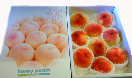 �a�̎R�@���@���P