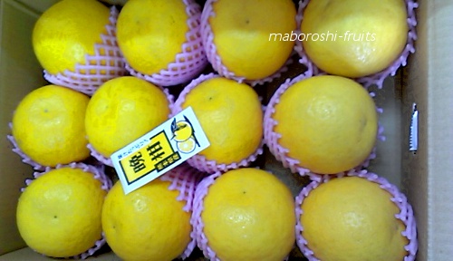 �W���V�[�I�����W�@�T�����@�F�{