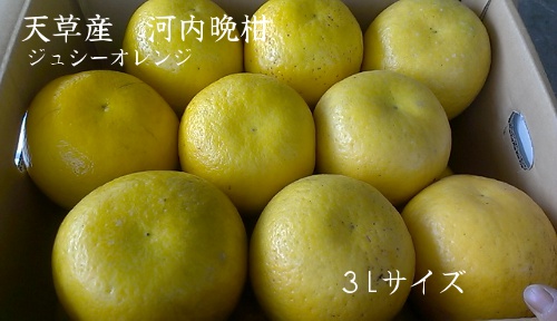 �V���ӊ��@�i�ʏ́F���ӊ��I�����W�j