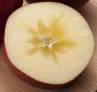 蜜入りりんごのカット画像