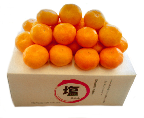 熊本みかん　　販売