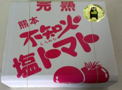 熊本産　塩トマト　不知火┃通販
