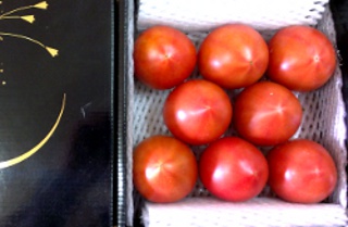 塩トマト　通販　熊本八代産