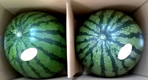 �F�{�������@�Q�ʓ���@�l�`�k�@�G�i