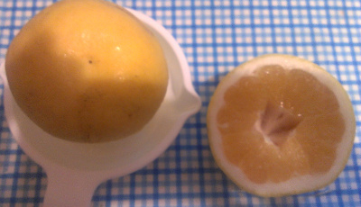 �W���[�V�[�I�����W���W���[�X�ɂ��Ă݂܂����B