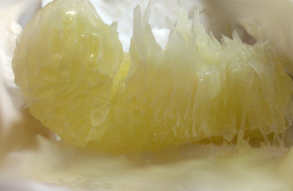 晩白柚の実（果汁）　皮を剥いた画像