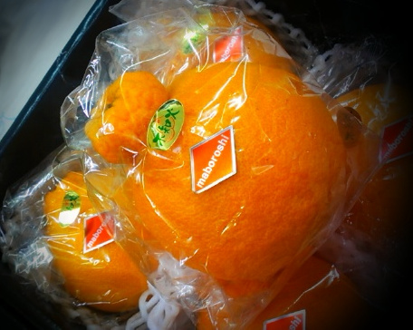 母の日ギフト　くだもの