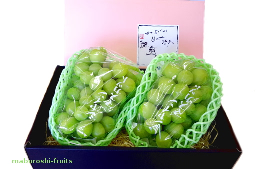 シャインマスカット福岡