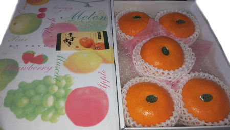 �͂܂����@���ꌧ��JA����i���Áj�@�����݂���