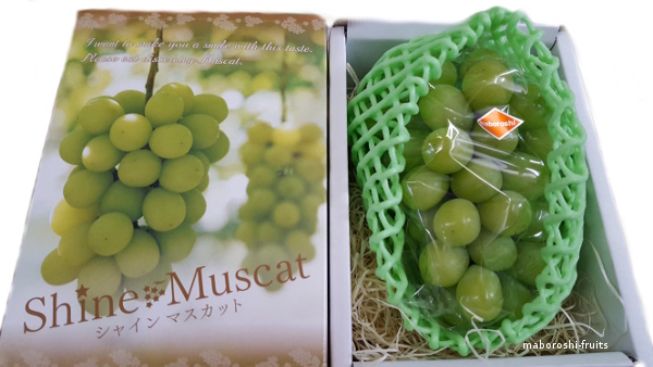 シャインマスカット┃まぼろしの果実どっとこむ