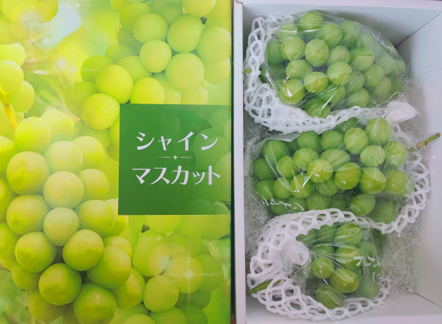 シャインマスカット３房大玉　２ｋｇ　３Lサイズ