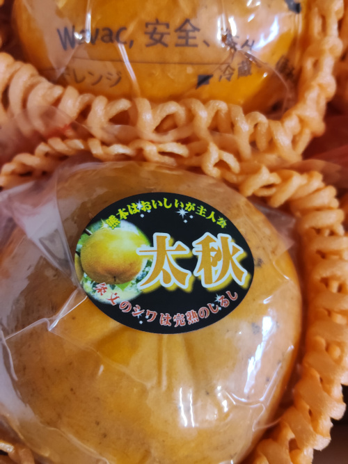 �^��p�b�N�l�߁@���H�`