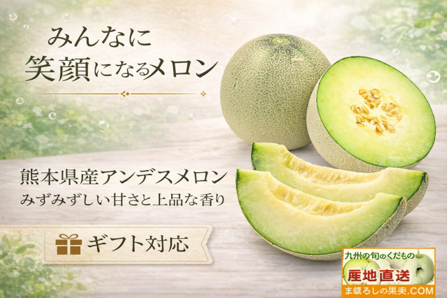 アンデスメロン 熊本産
