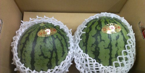 小玉すいか　熊本産ひとりじめ