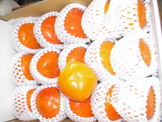 柿の出荷資材に発泡ポリエチレンの緩衝材を使用