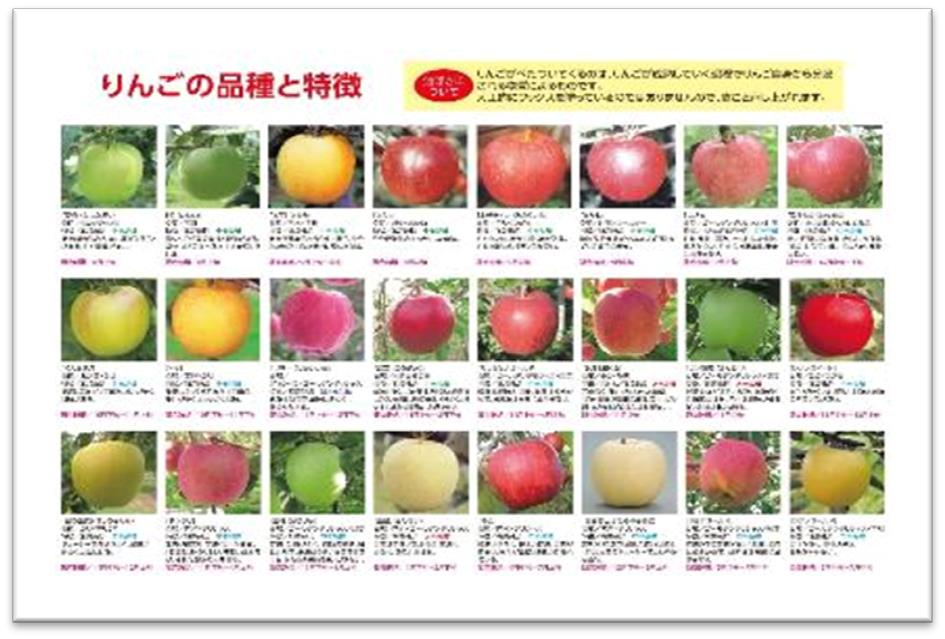 林檎の種類