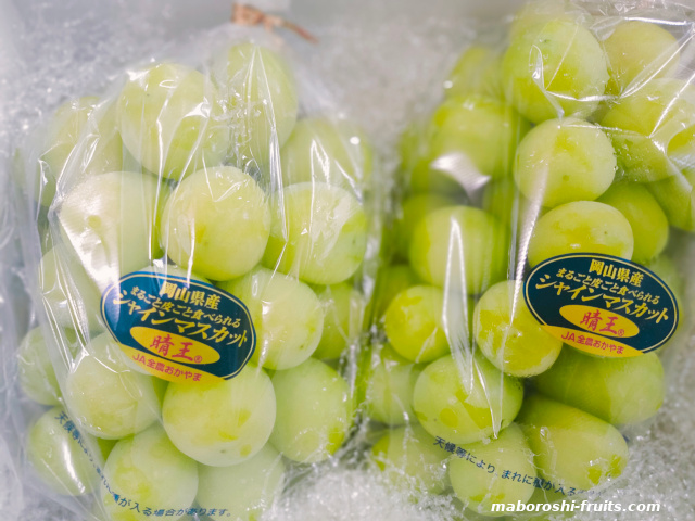 シャインマスカット　岡山（晴王）