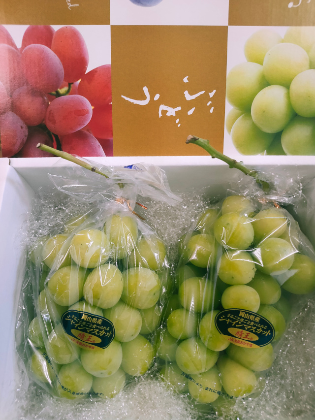 シャインマスカット　岡山産　晴王