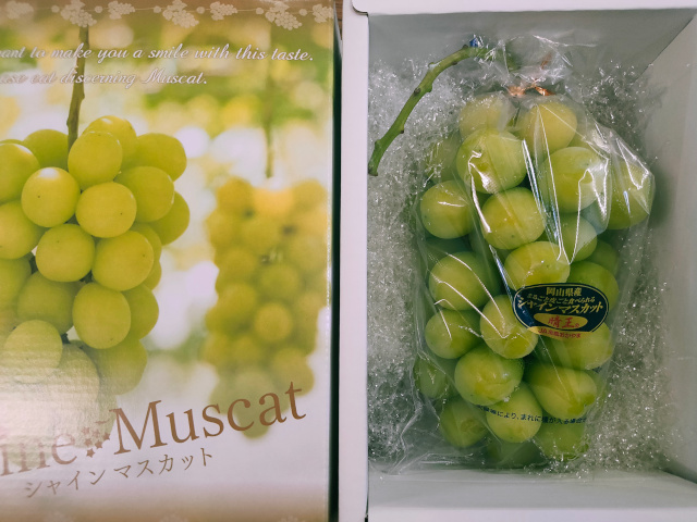 シャインマスカット　晴王