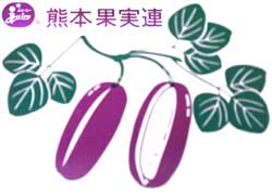 �����с@�F�{�Y