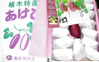 �F�{�@�A�؎Y�@������