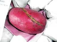 �����с@�D�i�@�A�؎Y