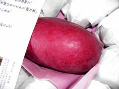 �F�{�Y�@������