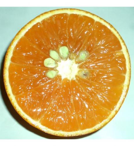 ���܂r�t�m�@�݂���摜�����Ε�M�t�g�@�݂���