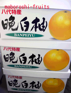 「ばんぺいゆ」　熊本産　晩白柚