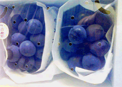 福岡産　ピオーネ｜果物　フルーツギフト