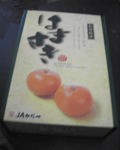 �u�͂܂����v�@�I�����W�@�����݂���