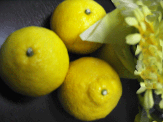 �Â��ʕ��b�͂邩�E�t��