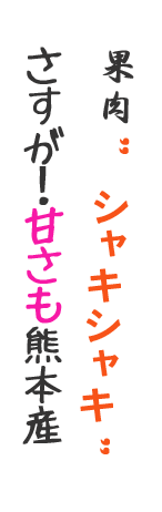 熊本西瓜|植木すいか