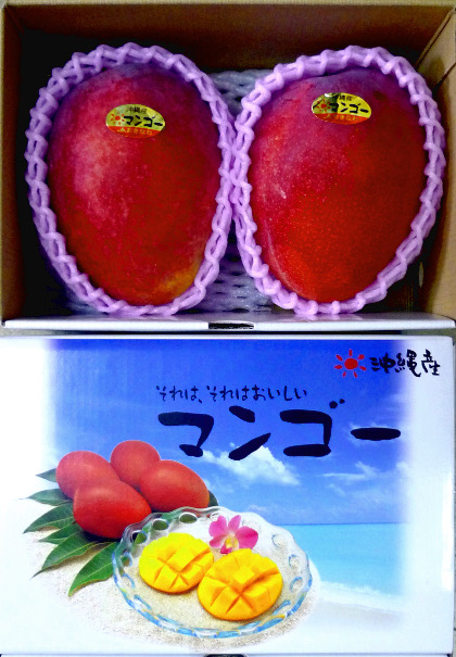 沖縄マンゴー｜フルーツ詰め合わせ｜まぼろしの果実．ＣＯＭ