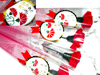 母の日ギフト　カーネーション付き