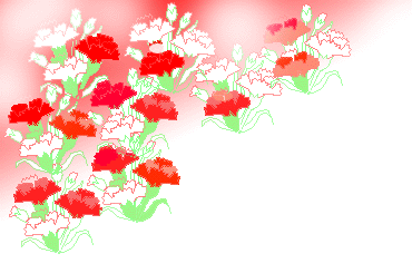 母の日　フルーツ　贈り物ギフト｜カーネーション