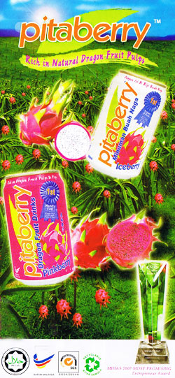 �hpitaberry�h�̃h���S���t���[�c�̃p���t���b�g