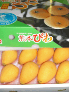 �F�{�т�@���׉摜