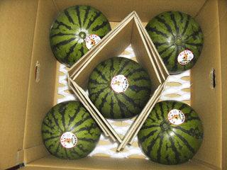 �F�{�Y�@���Z�b�v�鐼�Z