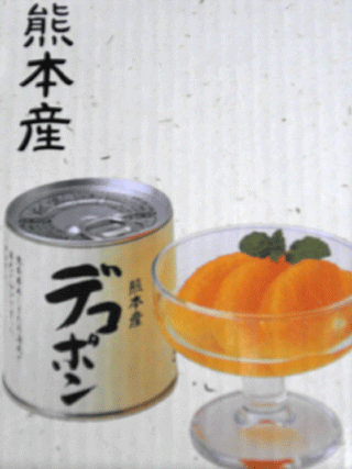 �f�R�|���ʋl�̉摜�F���ϔ��̎ʐ^�ł�