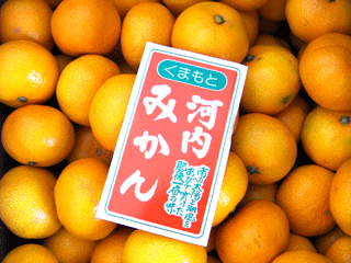 �F�{�݂���b���Ε�M�t�g