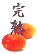 ２個入り３００ｇ前後×２で600g