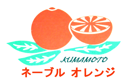 熊本産　果物　｜ネーブル・オレンジ